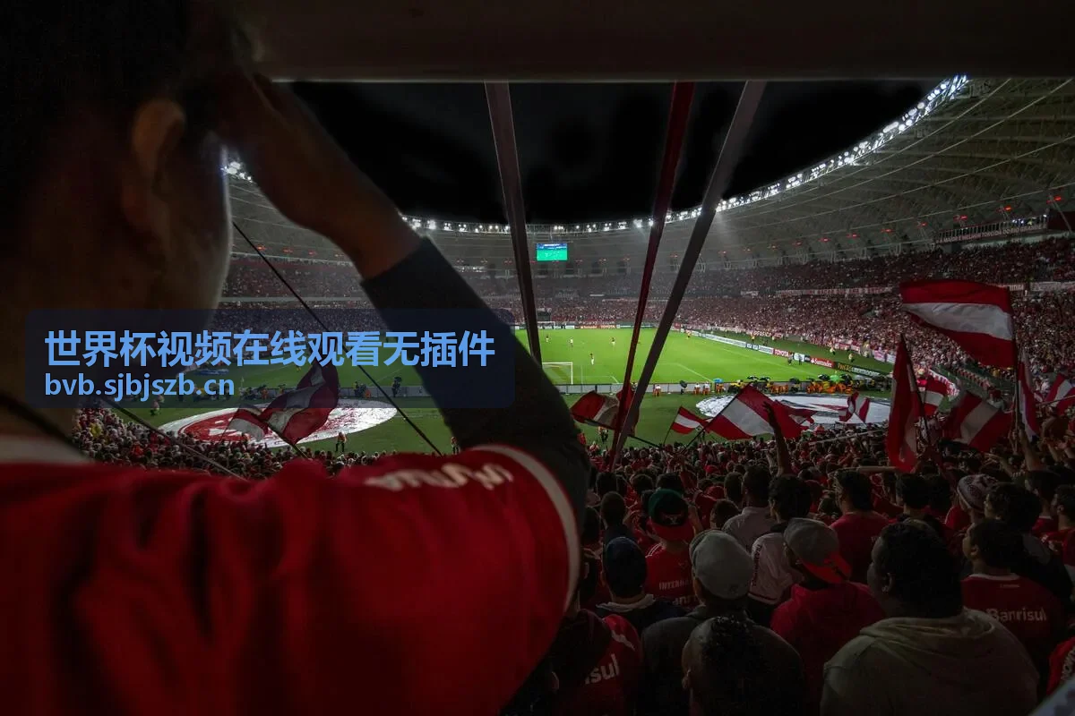 世界杯视频在线观看无插件 - 精彩对决直播中