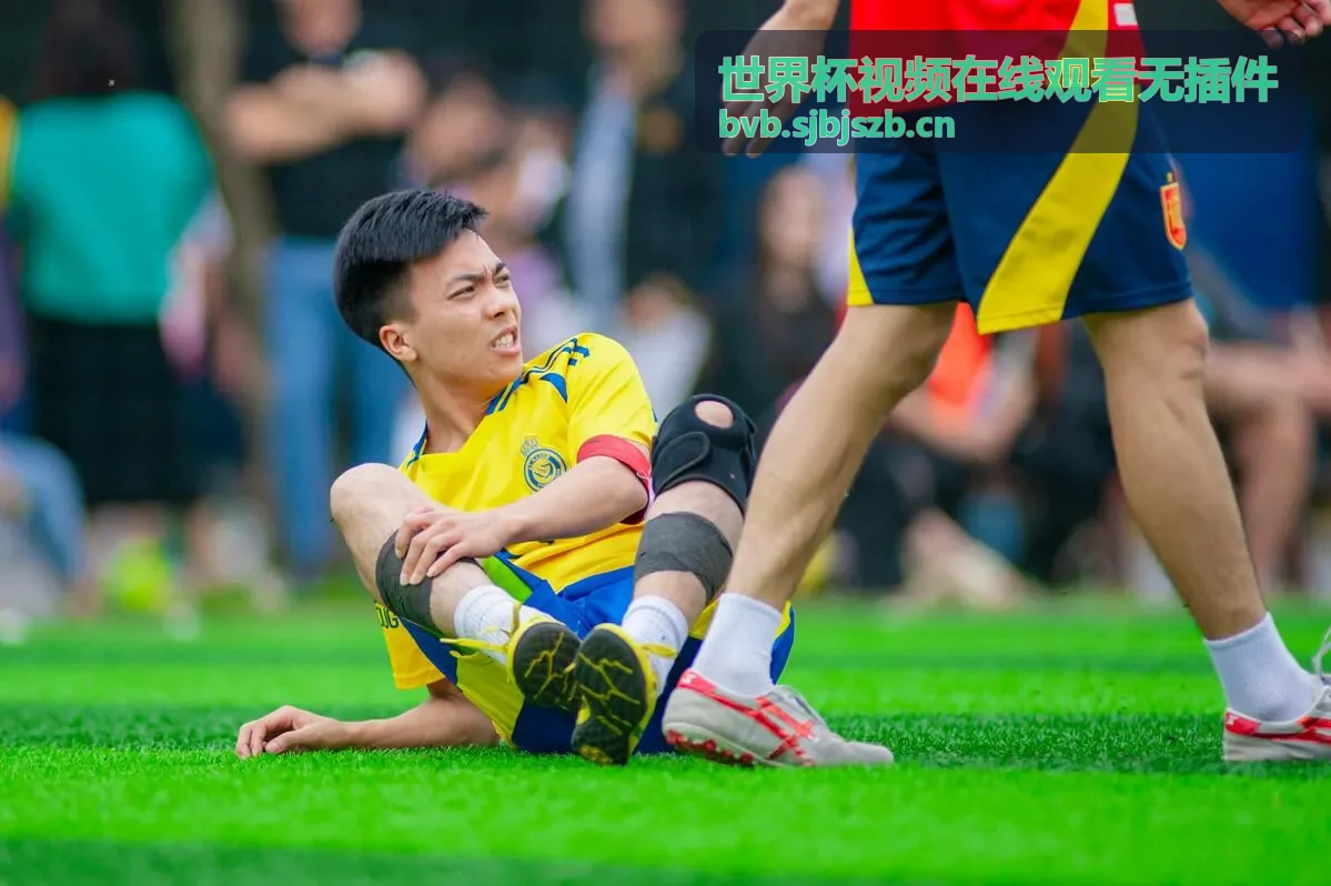 世界杯视频在线观看无插件 - 决赛之夜巅峰对决